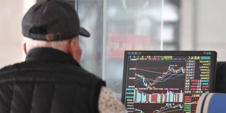 Mengenal Apa Itu Pemengang Saham & Perbedaan dengan Investor